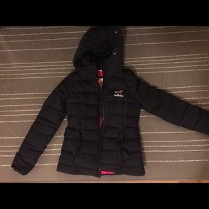 Hollister winter coat / puffer